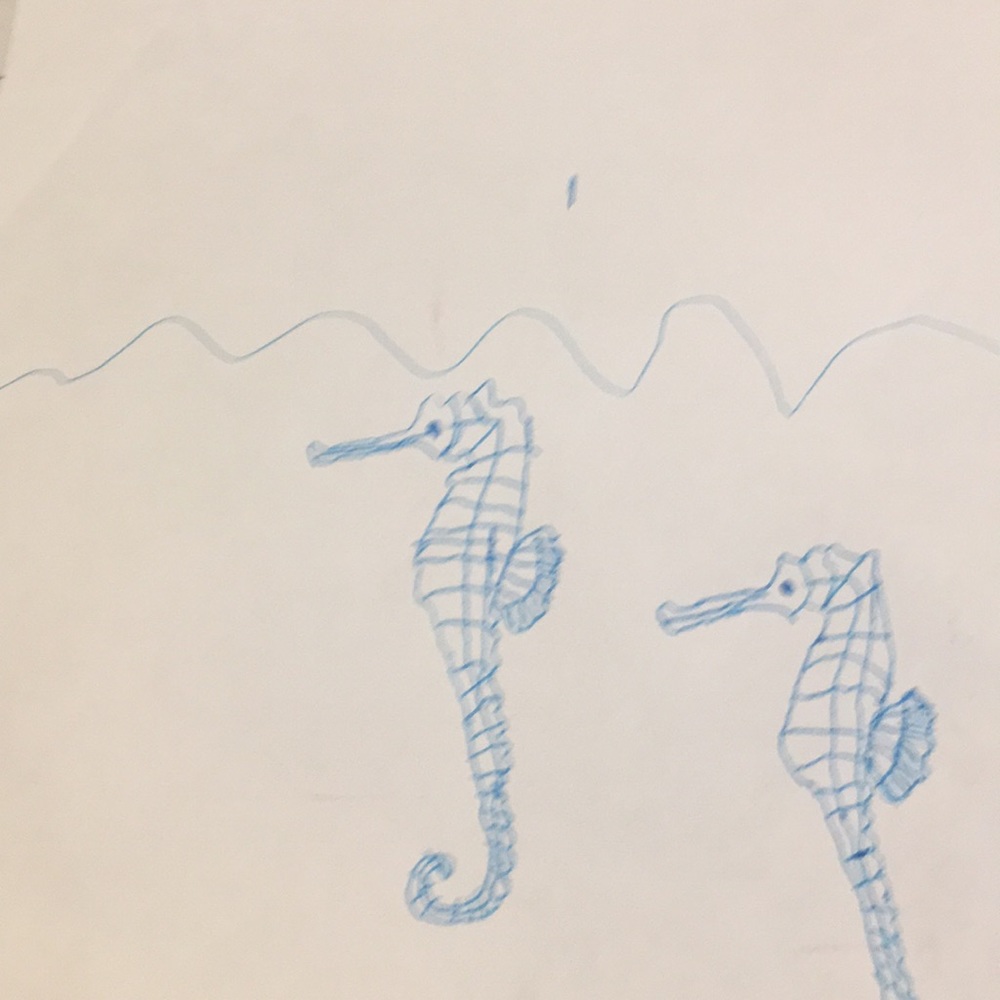 Tow sea horses